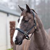 Nahkariimu Largo Horze