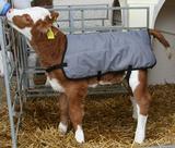 Vasikkaliivi Ripstop