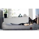 Back on Track Rocky koiranpeti