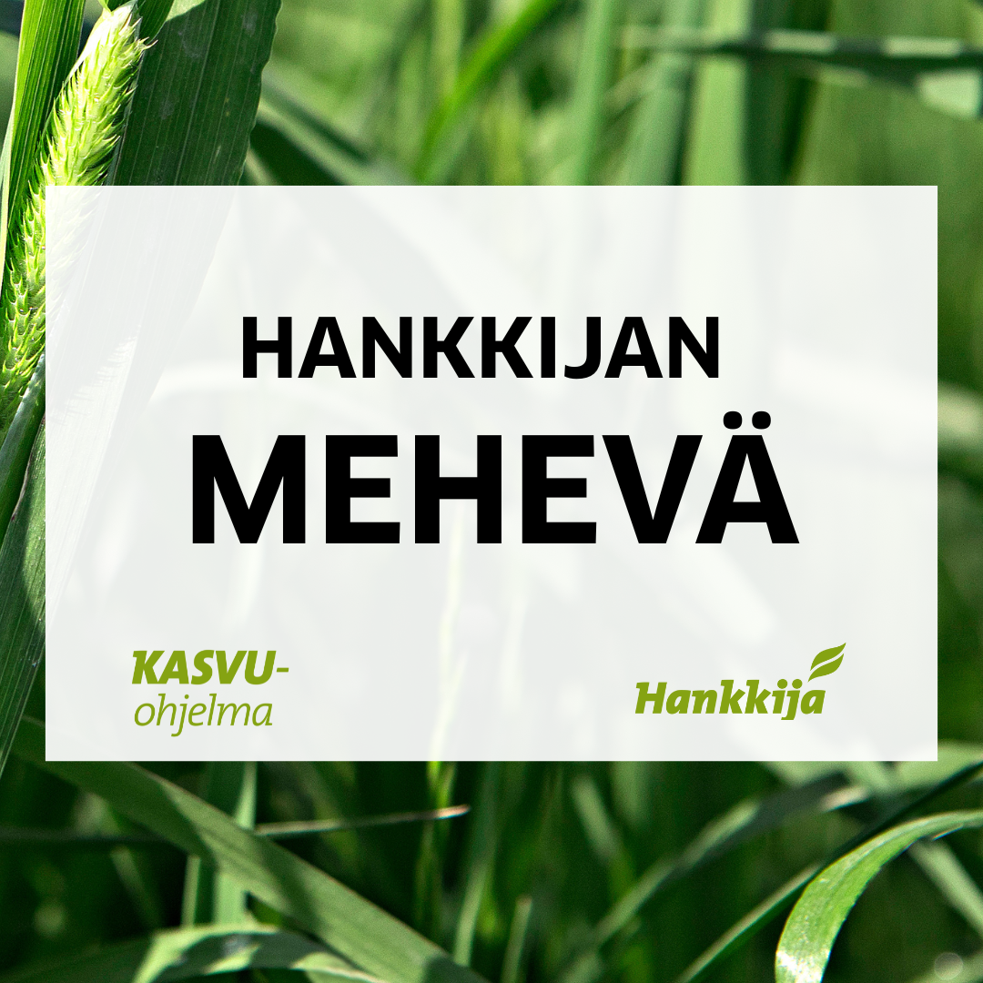 HANKKIJAN MEHEVÄ