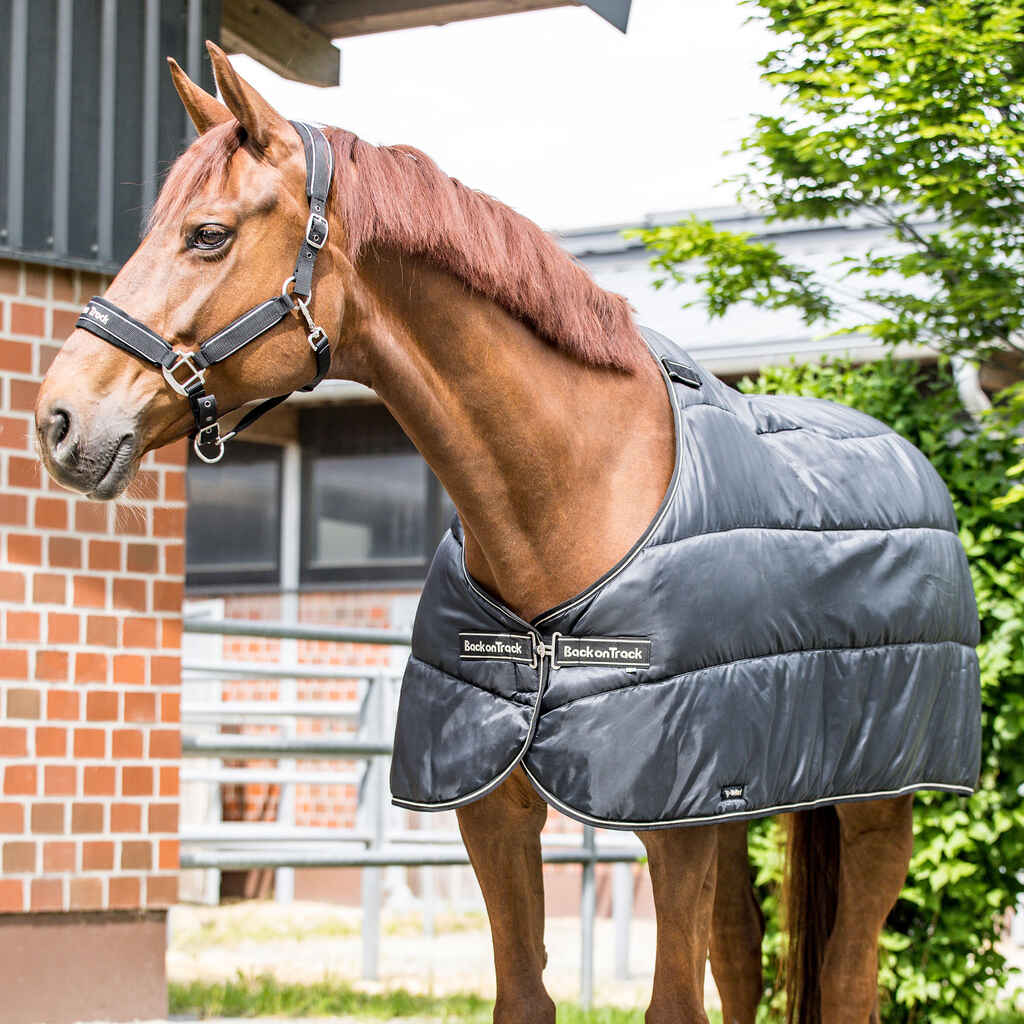 Back on Track Rhyolite lisätoppa 100g