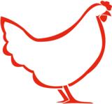 Luonnon Viljabroiler rae irto