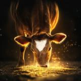 Kultakivennäinen Umpi Anion 500 kg