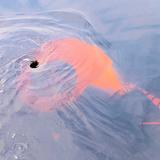 Agronic Ag46S hydraulikäyttöinen uppopumppu