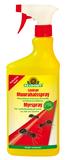 Muurahaisspray Loxiran 750 ml suihke