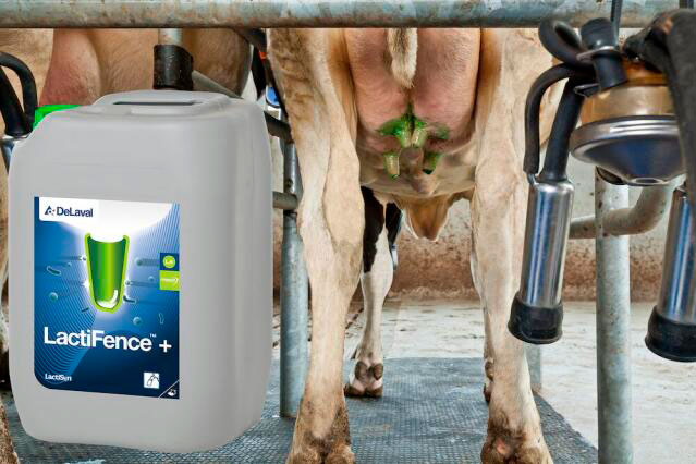 Vedinkastoaine Lactifence+ 10 l DeLaval