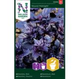 Maustebasilika, 'Round Midnight'