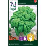 Mautebasilika, suurilehtinen