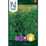 Tilli, 'Como', Big Pack