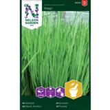 Ruohosipuli, Tavallinen, 'Biggy'