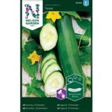 Avomaankurkku, 'Tanja', pitkä