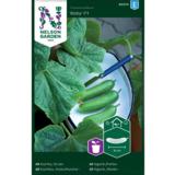 Kasvihuonekurkku, 'Baby' F1