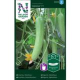 Kasvihuonekurkku, 'Delistar' F1