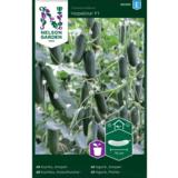 Amppelikurkku, 'Hopeline' F1