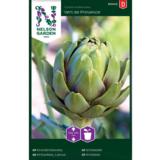 Latva-artisokka, 'Vert De Provence'