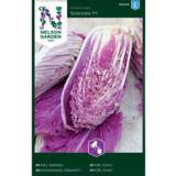 Salaattikiinankaali, 'Scarvita' F1