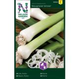 Purjosipuli, 'Blaugrüner Winter'