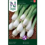 Pillisipuli, 'White Lisbon'