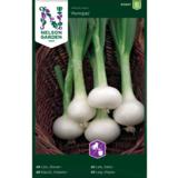 Hopeasipuli, 'Pompei'