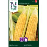 Sokerimaissi, 'Sweet Nugget' F1