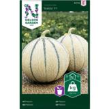 Meloni, 'Stellio' F1