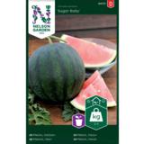 Vesimeloni, 'Sugar Baby'