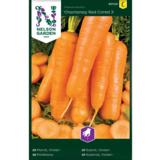 Porkkana, 'Chantenay Red Cored 3'