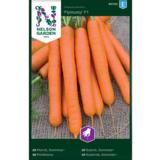 Porkkana, 'Flyaway' F1