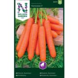 Porkkana, 'Nantaise 2'