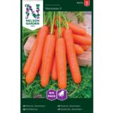 Porkkana, 'Nantaise 2', Big Pack