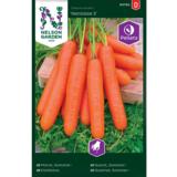 Porkkana, 'Nantaise 2', pilleri