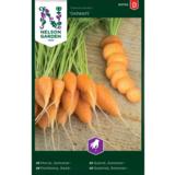 Kesäporkkana, 'Oxheart'