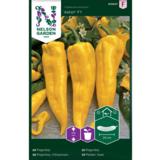 Vihannespaprika, 'Astor' F1