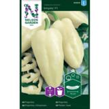 Vihannespaprika, 'Amyka' F1