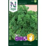 Persilja, 'Moss Curled 2'