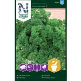 Persilja, 'Moss Curled 2', kylvönauha