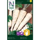 Juuripersilja, 'Halblange'