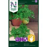 Persilja, Sileälehtinen, 'Comun 3'