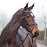 Suitset Constance Horze