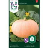 Jättikurpitsa, 'Gele Reuzen'