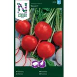 Retiisi, 'Saxa 2', kylvönauha