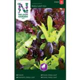 Salaatti, Baby Leaf, Seos