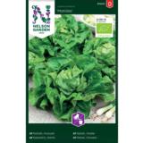 Keräsalaatti, 'Matilda', luomu