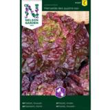 Keräsalaatti, 'Merveille des quatre saisons'