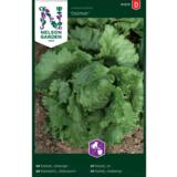 Jäävuorisalaatti, 'Calmar'