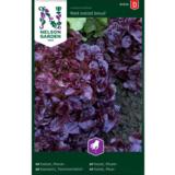 Tammenlehtisalaatti, 'Red Salad Bowl'