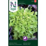 Tammenlehtisalaatti, 'Salad Bowl'