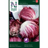 Punasikurisalaatti, 'Palla Rossa 5'