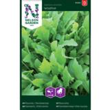 Salaatti, Villirukola, 'Wildfire'™