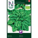 Pinaatti, 'Vroeg Reuzenblad', luomu